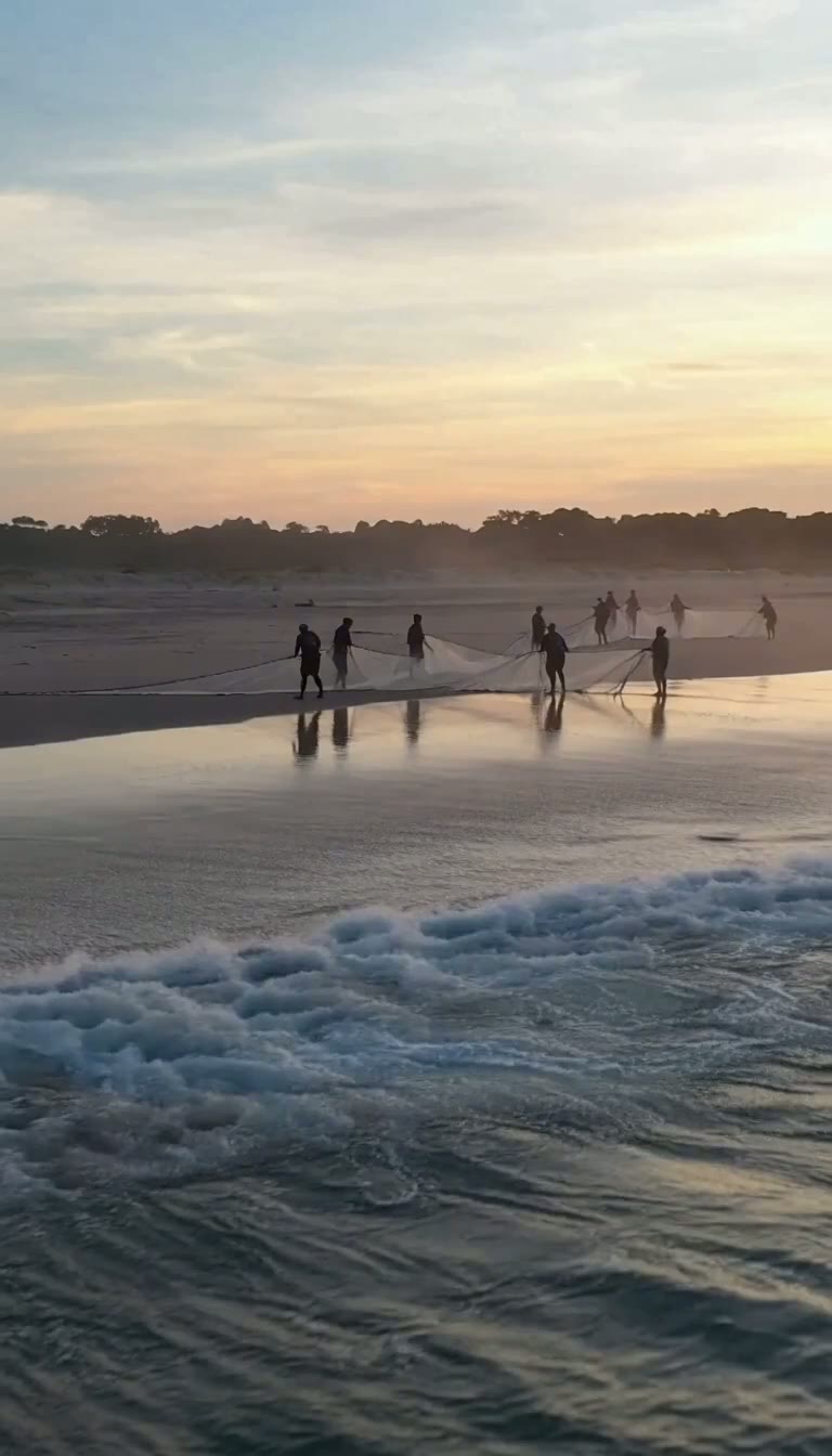 Tide Workers thumbnail